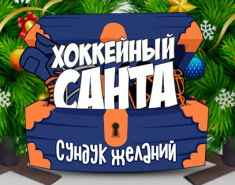 Акция "Хоккейный Санта"