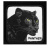 Шапка Goorin Brothers PANTHER_5