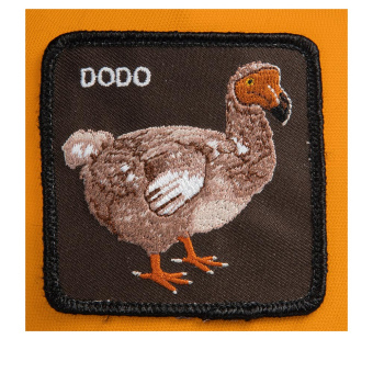 Бейсболка Goorin Brothers DODO_2