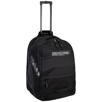 Цена на рюкзак на колесах 590 s25Рюкзак на колесах 590 S25