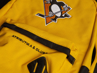 Цена на рюкзак nhl pittsburgh penguins 58173Рюкзак NHL Pittsburgh Penguins 58173