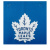 Бейсболка AMERICAN NEEDLE Toronto Maple Leafs_4